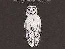 Palomino by Trampled by Turtles (Record, 2010)