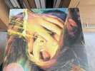 The Flaming Lips : Embryonic first press vinyl lp coloured sealed