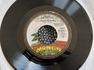 Junior Murvin-Police And Thieves