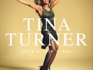 Tina Turner Queen of Rock 'N' Roll (Vinyl) 12