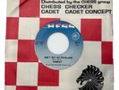 Ain't Got No Problems Single Record Sunday 45 RPM Northern Soul