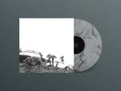 Timber Timbre 