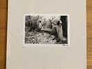 Sunn O)))   White • 3 x Vinyl Limited Edition Box Set w/ Picture Disc • Numbered