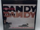 Jesus & Mary Chain The Jesus And Mary Chain - Psychocandy Vinyl Record LP Album