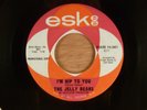 The Jelly Beans I'm Hip To You/You Don't Mean Me No Good RARE  Northern Soul