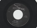 SURF GARAGE INSTRO bw/ TEEN 45 - GRAND PRIX'S -  SAN JOSE'  - HEAR  1963 SARA