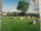 KLF Chill Out    1st UK Press  KLF Communications    JAMSLP5 1990  Stunning