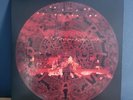Pearl Jam 2010 Ten Club Christmas Single 10” Vinyl No Jeremy Falling Down