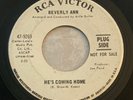 Beverly Ann-He's Coming Home-He Won't See The Light-NORTHERN SOUL-Nm Vinyl-Promo