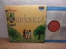 Sunforest - Same (UK Lp 1969 1st Deram) PSYCH FOLK HOLY GRAIL mint-