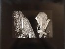 Sun City Girls - Fresh Kill of a Cape Hunting Dog / Def in Italy - (2004) 2LPs
