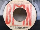 LOVE IS A SPECIAL FEELING - The MAYTALS ( No UK Issue ) Ja 1st Press 