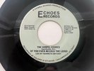 Rare Sweet Soul Funk Gospel 45 / The Gospel Echoes 
