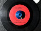 The Fabulous Go-Go's Traffic Light  Garage teenbeat CHICAGO Biscayne