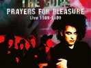 CURE - PRAYERS FOR PLEASURE: LIVE 1989-1990 - LTD NUMB COL 11 LPs BOX SEALED