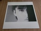FELT - CRUMBLING THE ANTISEPTIC BEAUTY - FRENCH ISSUE A1/B1 -1982 ISSUE - EX