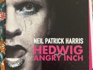 Neil Patrick Harris Hedwig and the Angry Inch 12
