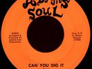 RON ADAMS Can You Dig It 45 Adams Soul Rare 1972 AL Funk
