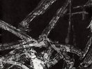 Current 93 - No Hiding From The Blackbird / The Burial Of The Stoned Sar - Y5z
