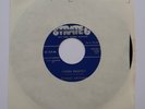 RICHARD BROTHERS Stolen Property Orig US 45 Strate 8 BLUES RnB  7” * LISTEN *