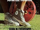 John Lee Hooker - Born in Mississippi, Raised up in Tennessee (LP) - Vinyl Blues