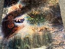 Pink Floyd, A Saucerful Of Secrets Vinyl G+/G