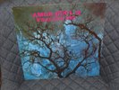 Amon Düül II - Phallus Dei - Strand
