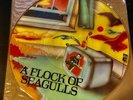 Flock Of Seagulls Vinyl Picture Disc