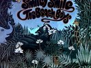 The Beach Boys - Smiley Smile UK LP 1967 (VG+/VG) Rainbow-Rim Labels .