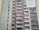 Brian Eno Top Boy Double LP Silver Vinyl Limited Edition Only 500 Copies