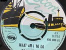 TONY SCOTT What Am I To Do Bring Back Smile ESCORT ES805 1969 Pama 7” Single EX