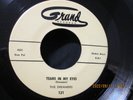 DREAMERS Tears In My Eyes / 535 Doo Wop Vocal Group Rock 45 Record Orig.