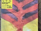 Show Your Bones by Yeah Yeah Yeahs (Vinyl Record, 2006)