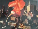 Pinguin - Der Grosse Rote Vogel - 1972 - Zebra 2949 001 