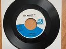 Lainie Hill - Time Marches On / Ain't I Worth A Dime - New Voice