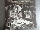 Okkervil River Black Sheep Boy & Appendix 2 X Vinyl LP Printed Inners Lyrics