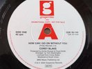 Northern  Soul-Corey Blake -How Can I Go On Without You-Grapevine Demo