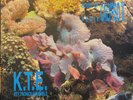 Key Tronics Ensemble - House Of Calypso II Remix Italian Import
