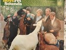 The Beach Boys: Pet Sounds Capitol N-16156 Vinyl LP Album Reissue Mono 1980 Exc