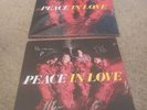 Peace In Love Signed Red Vinyl