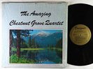 Amazing Chestnut Grove Quartet - S/T LP - Designer - Private C&W Gospel VG+ HEAR