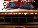 New Miserable Experience by Gin Blossoms (Record, 2017)