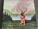 Little Feat - Hoy-Hoy  1981 Classic Rock Double LP Vinyl Record Album w/ Booklet