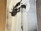 Muddy Waters Electric Mud Cadet LPS-314 Jacket In Gorgeous Condition