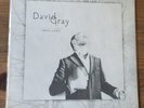 David Gray - Foundling - Vinyl Record Rare Lp