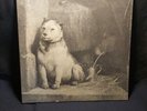 Pampered Menial Pavlov's Dog Nr. Cbs80862 Europe 1976 Sleeve/Vinyl =M UNUSED