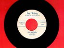 NANCY DAY TEEN AGE HOP ROCKABILLY TEEN BOPPER 45 RPM RECORD