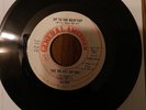 THE VELVET SATINS / Up To The Rooftop - Nothing Can Compare To You / PROMO 45rpm