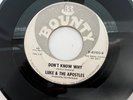 Rare Garage Mod Punk 45 / Luke & the Apostles 