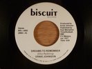 Ernie Johnson  Dreams To Remember/Disco Music  RARE  R&B, Soul, Disco, Funk